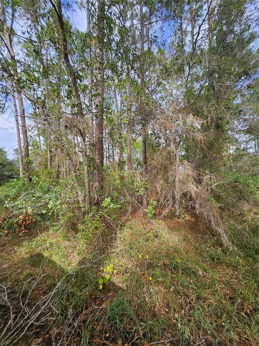 , DELTONA, FL