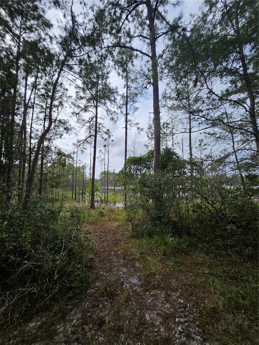 , DELTONA, FL — photo 15