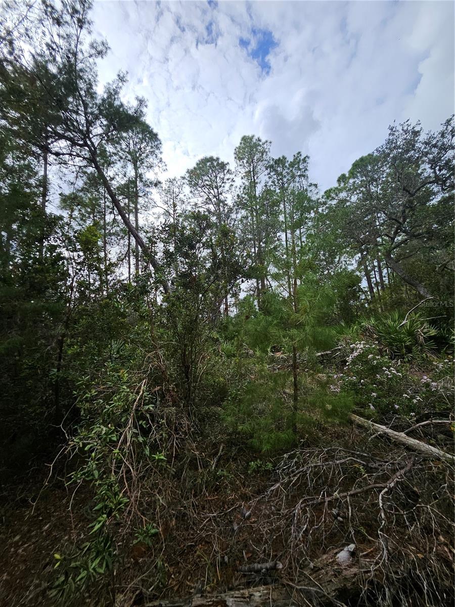 , DELTONA, FL — photo 12