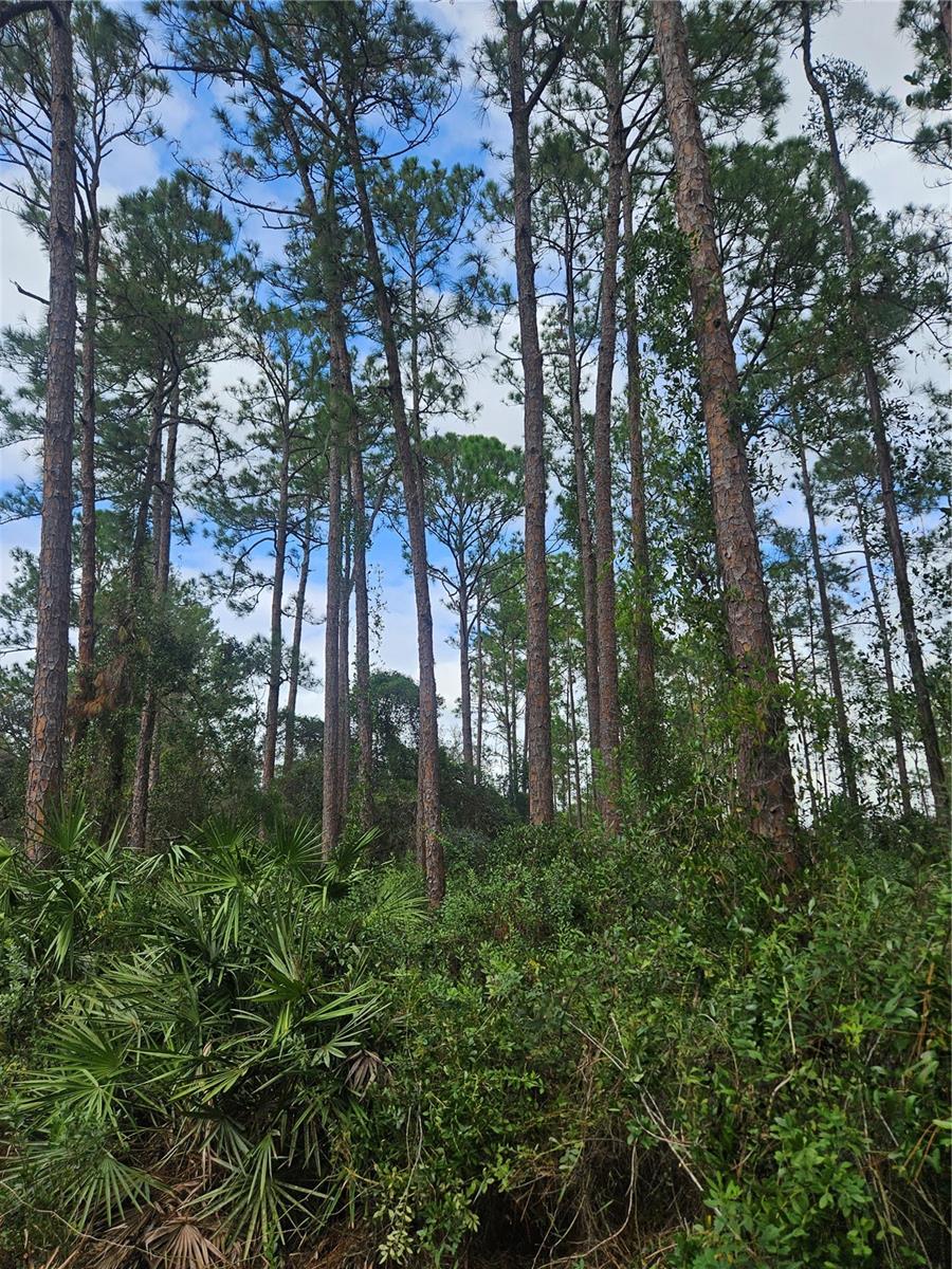 , DELTONA, FL — photo 23