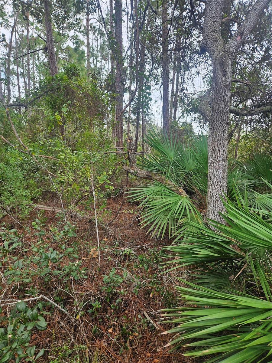 , DELTONA, FL — photo 29