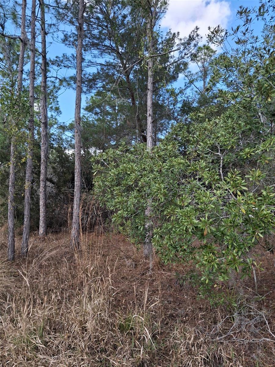 , DELTONA, FL — photo 32