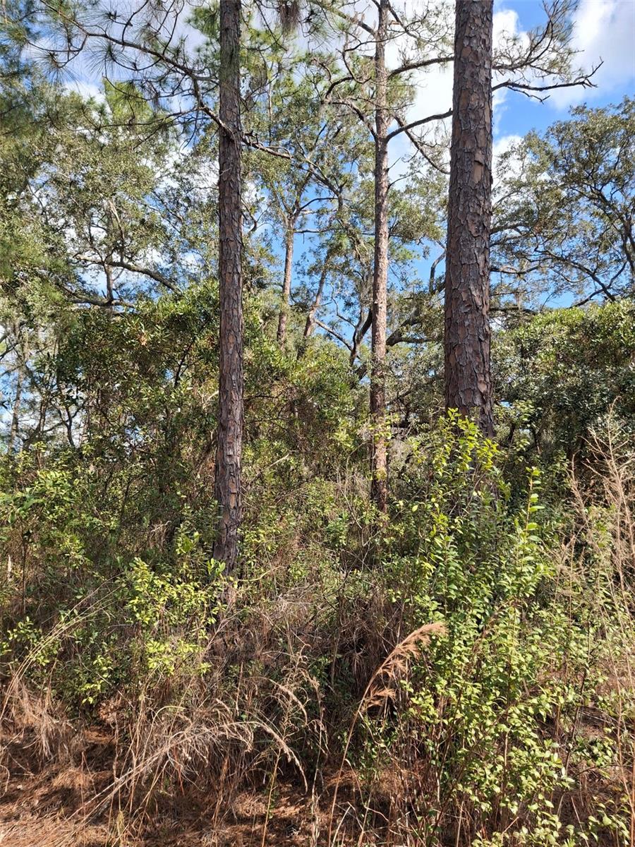 , DELTONA, FL — photo 35