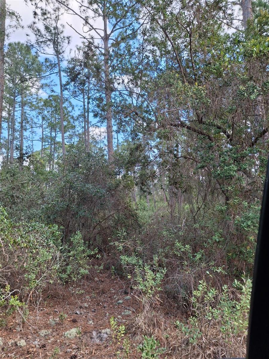 , DELTONA, FL — photo 36