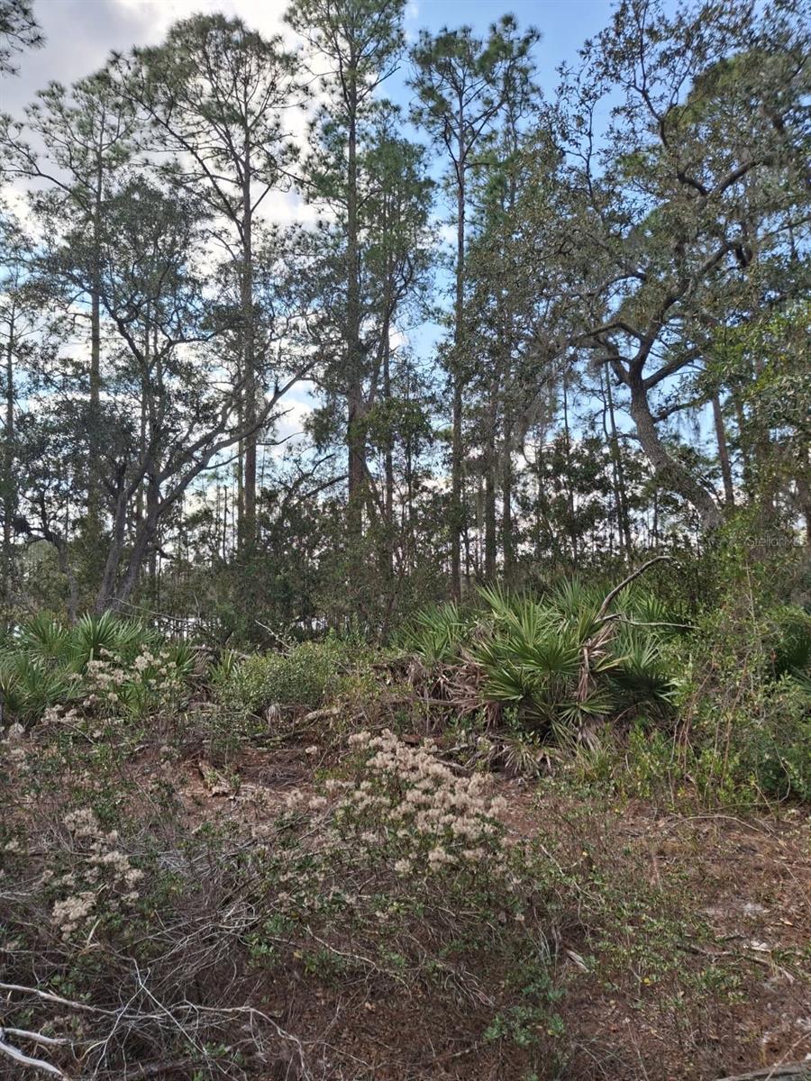 , DELTONA, FL — photo 37