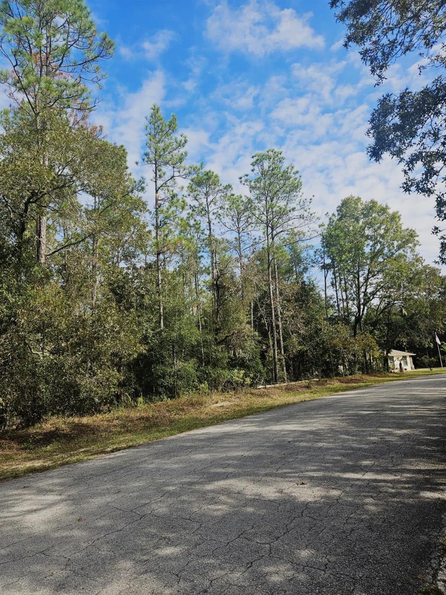 SOUTHWEST 206TH COURT RD, DUNNELLON, FL — photo 7