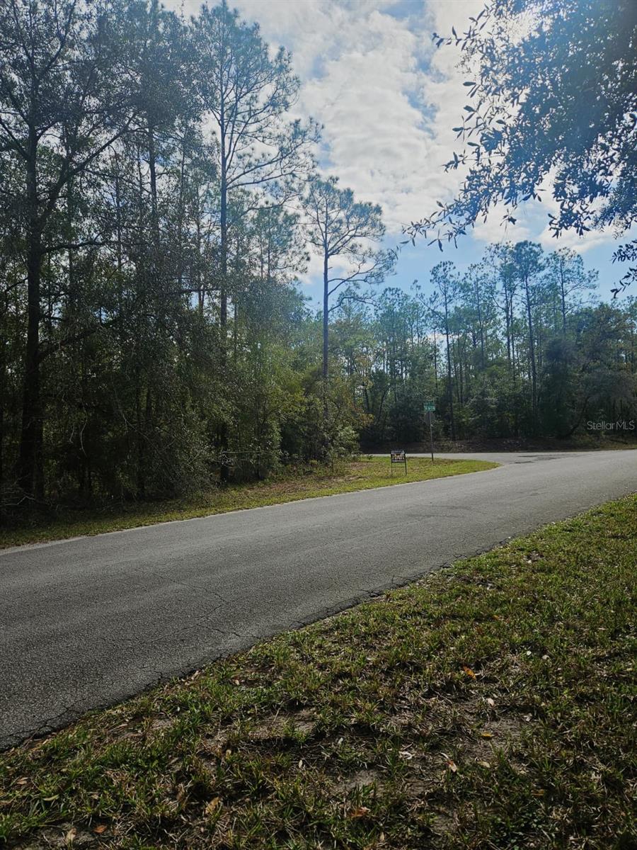 SOUTHWEST 206TH COURT RD, DUNNELLON, FL — photo 9