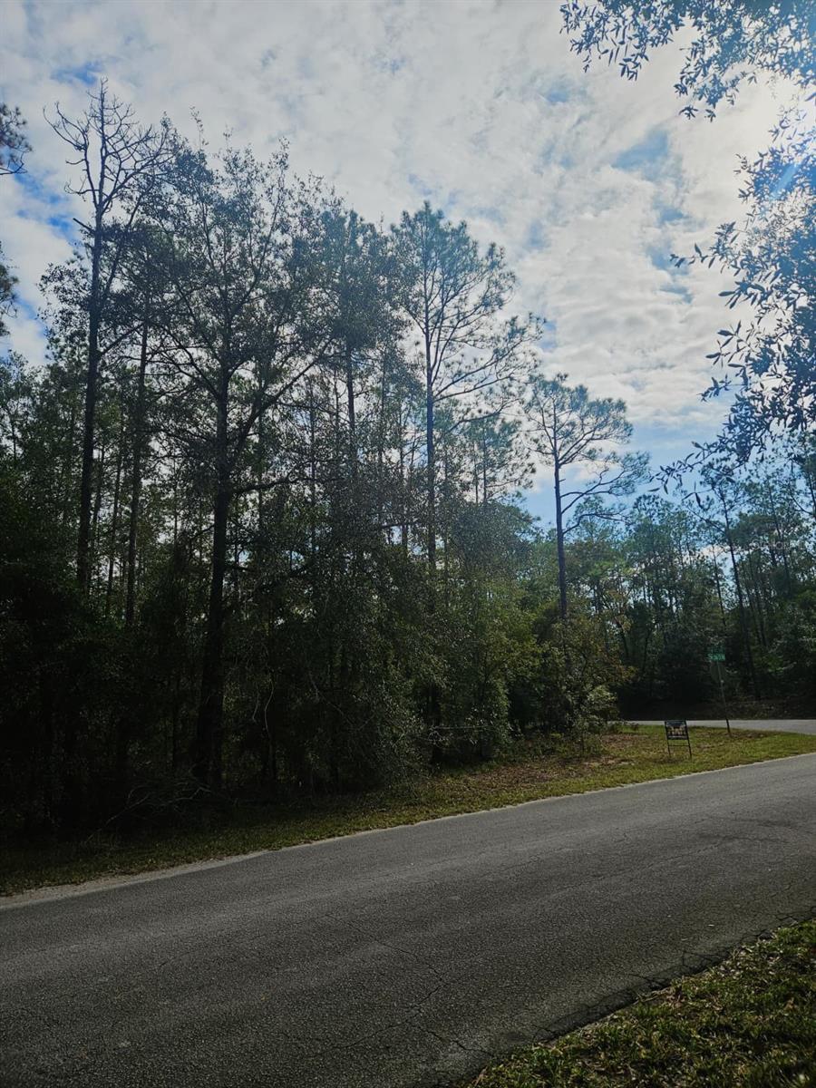 SOUTHWEST 206TH COURT RD, DUNNELLON, FL — photo 12