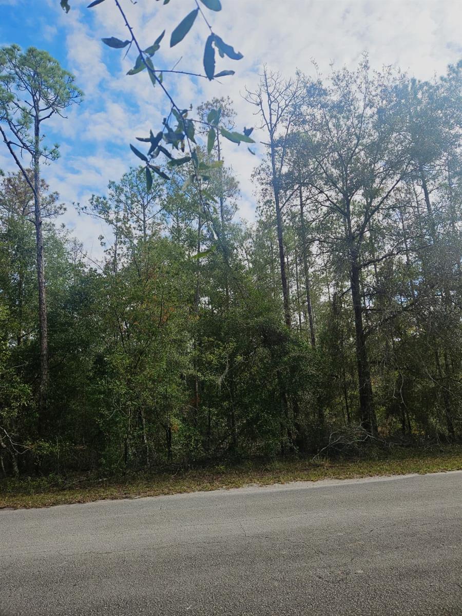 SOUTHWEST 206TH COURT RD, DUNNELLON, FL — photo 15