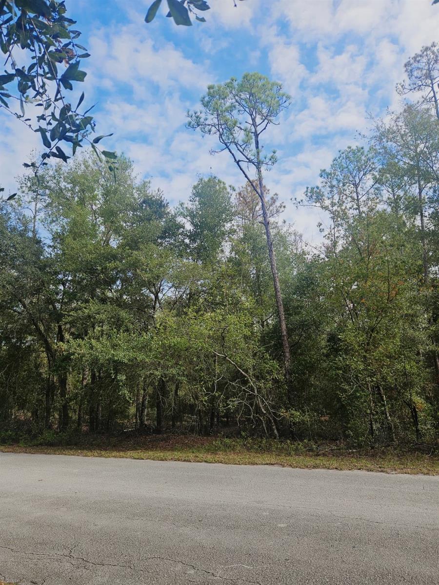 SOUTHWEST 206TH COURT RD, DUNNELLON, FL — photo 17