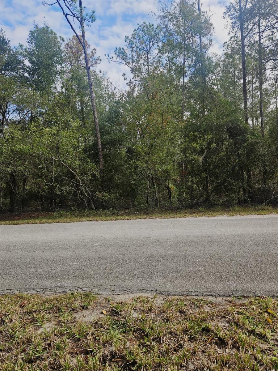 SOUTHWEST 206TH COURT RD, DUNNELLON, FL — photo 19