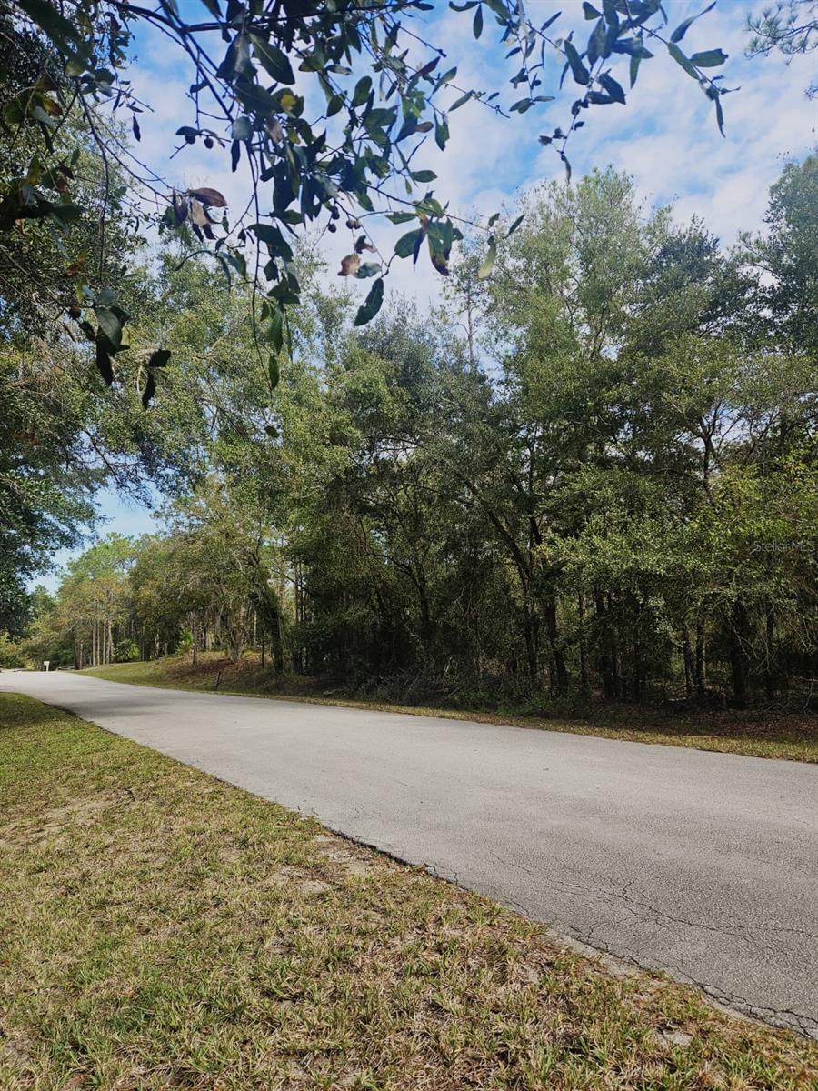 SOUTHWEST 206TH COURT RD, DUNNELLON, FL — photo 21