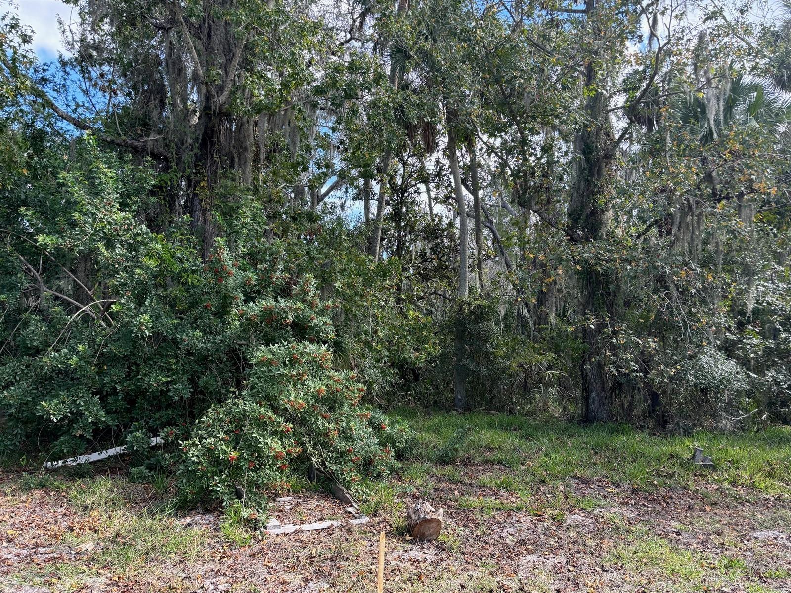 0 KOLB PL, HUDSON, FL — photo 4