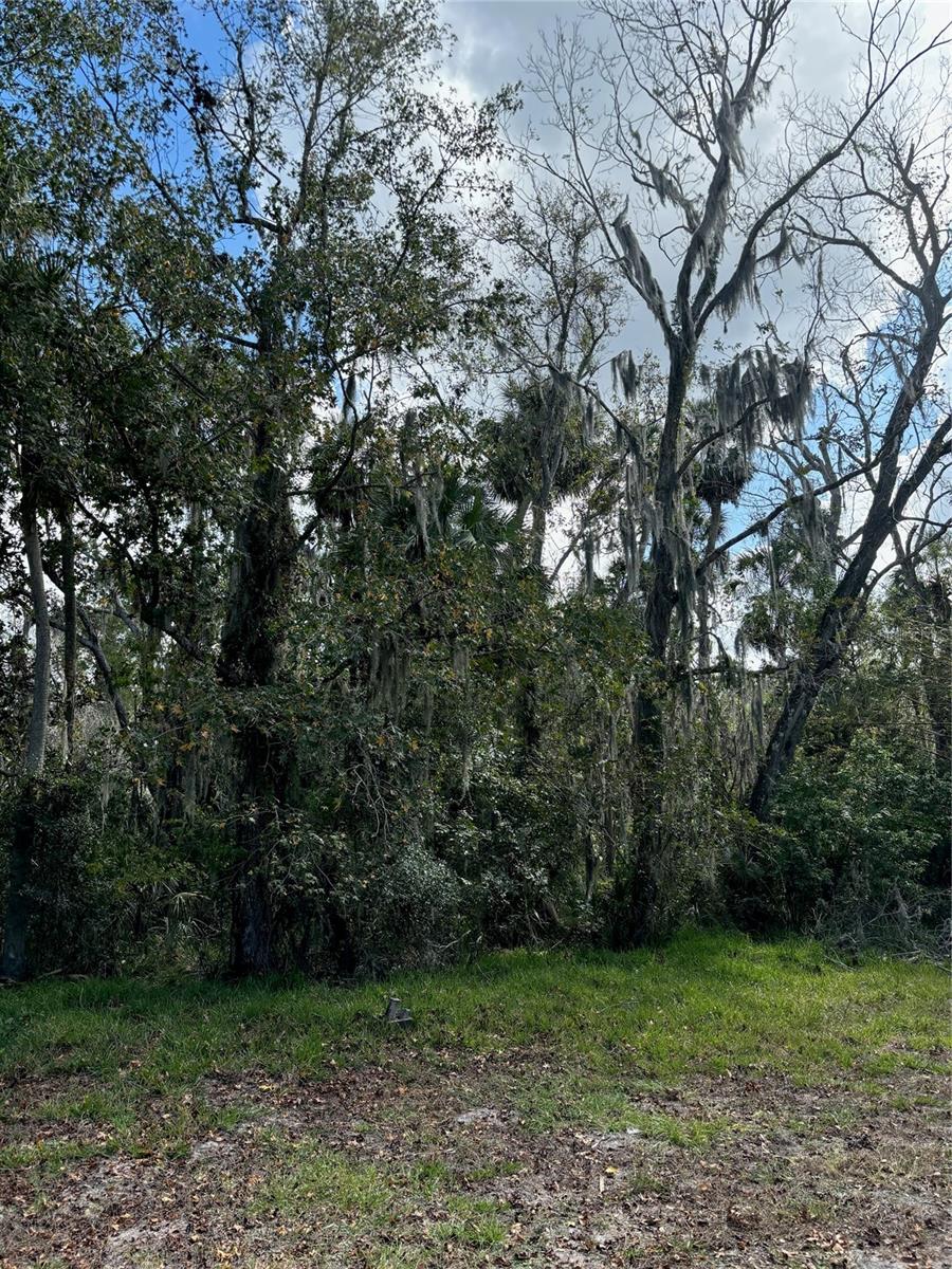 0 KOLB PL, HUDSON, FL — photo 5