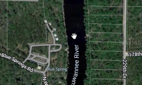 229 TH DRIVE, LIVE OAK, FL — photo 3