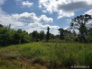 618 INGHAM RD, NEW SMYRNA BEACH, FL — photo 12