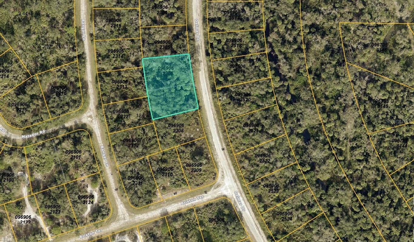 0969062306 DELMAR DR, NORTH PORT, FL