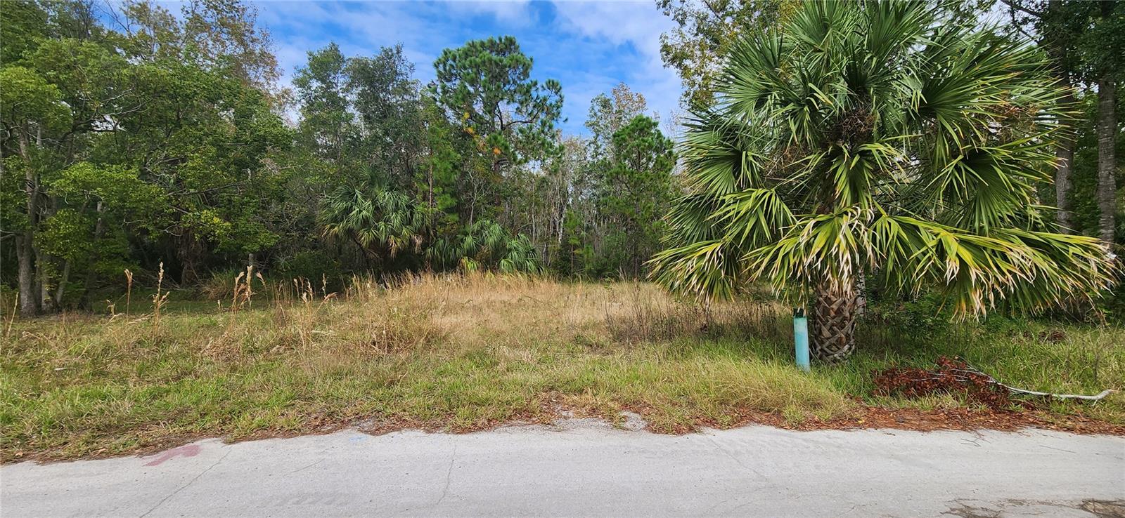 LOT 285 CUTLASS DR, HUDSON, FL — photo 3