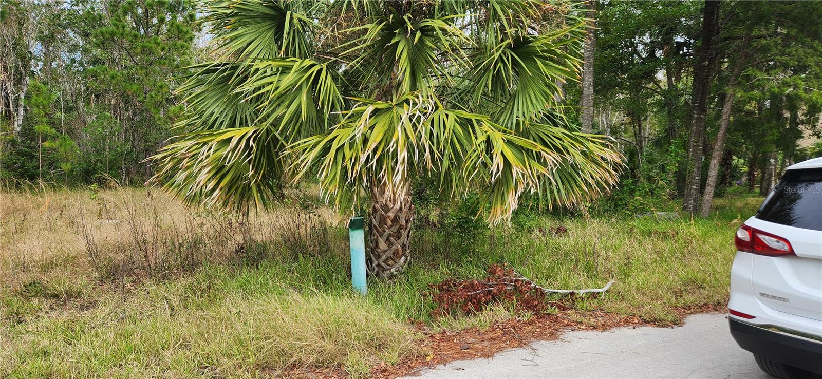 LOT 285 CUTLASS DR, HUDSON, FL — photo 8