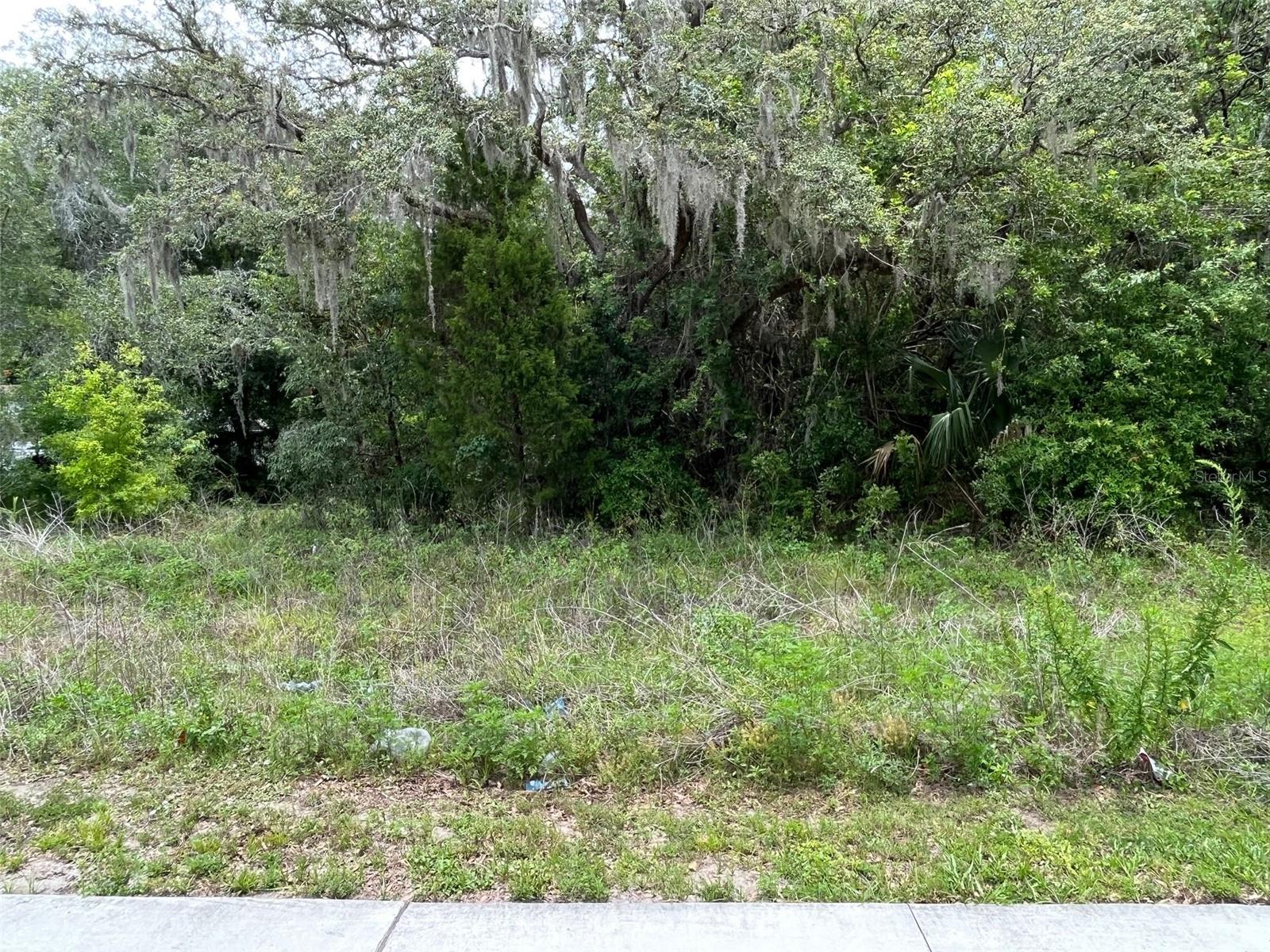 12120 HICKS RD, HUDSON, FL — photo 4