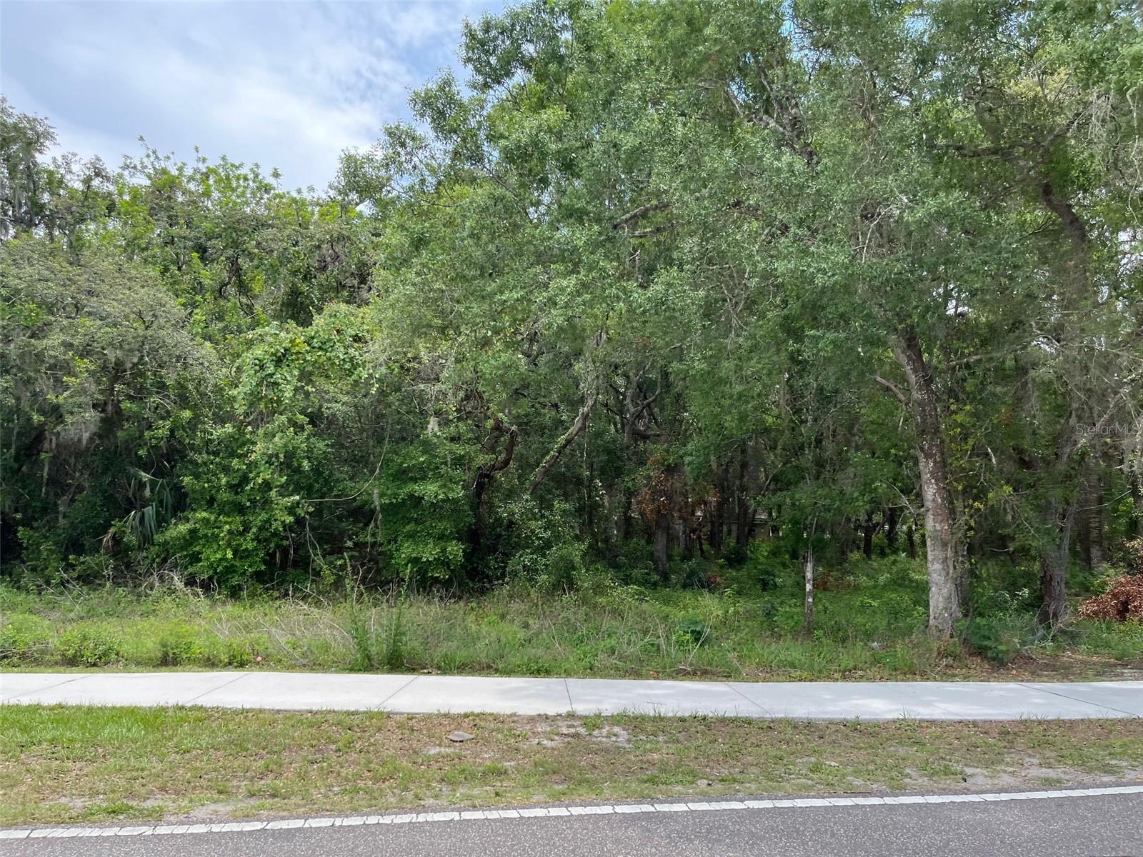 12120 HICKS RD, HUDSON, FL — photo 5