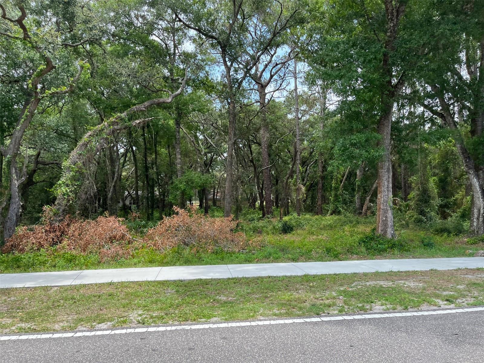 12120 HICKS RD, HUDSON, FL — photo 6