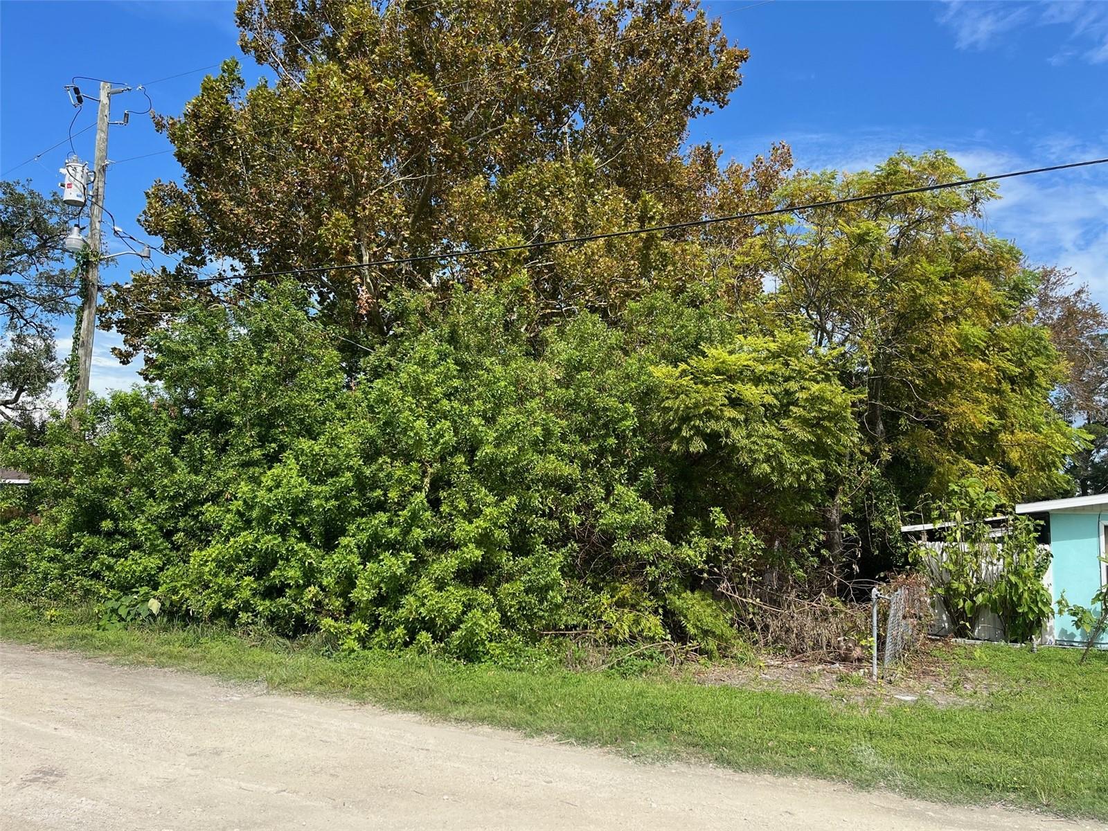 7103 JEANNE AVE, HUDSON, FL — photo 2