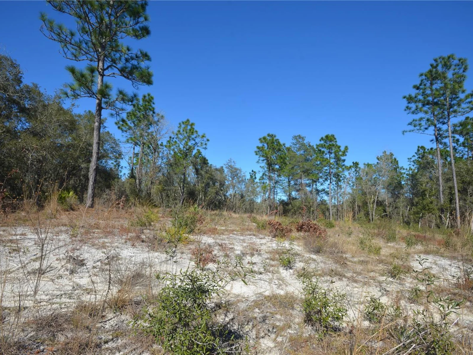 SW 144 PL, OCALA, FL — photo 1