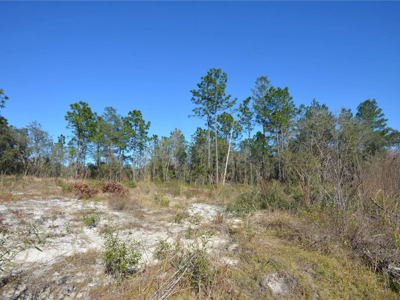 SW 144 PL, OCALA, FL — photo 4