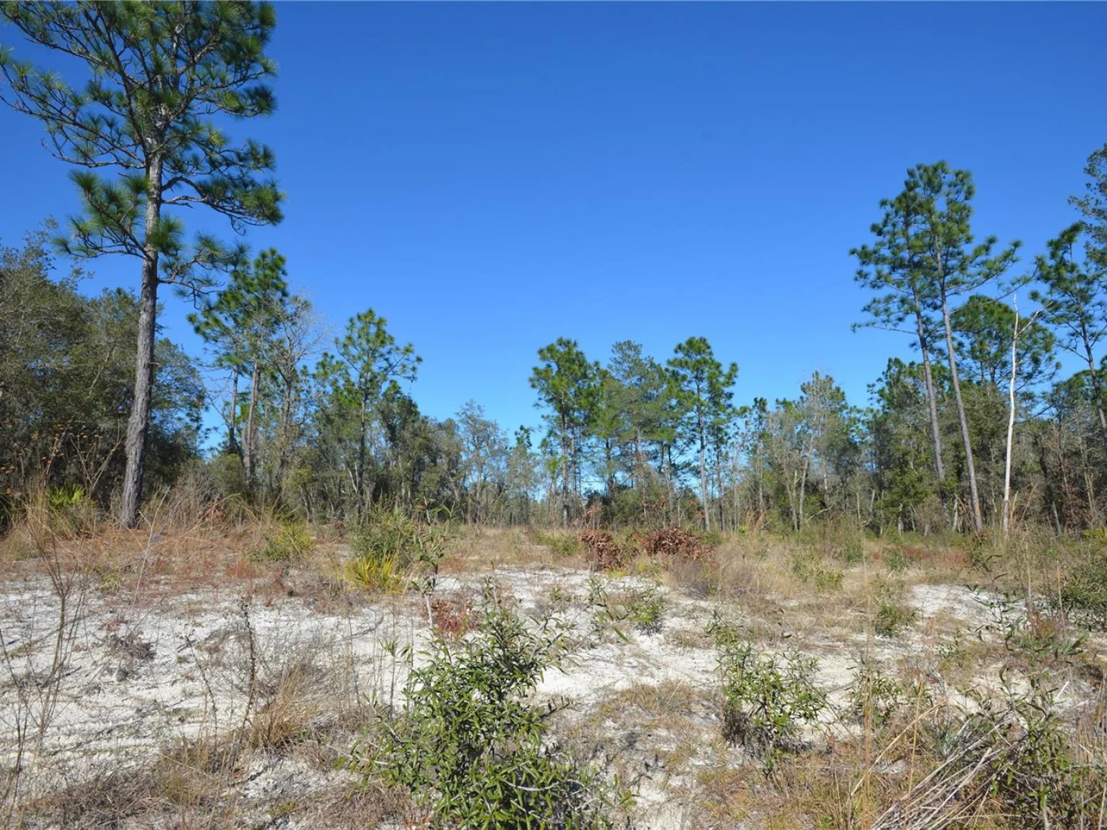 SW 144 PL, OCALA, FL — photo 5