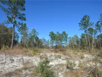 SW 144 PL — photo 5