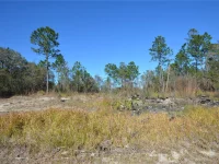 SW 144 PL — photo 6