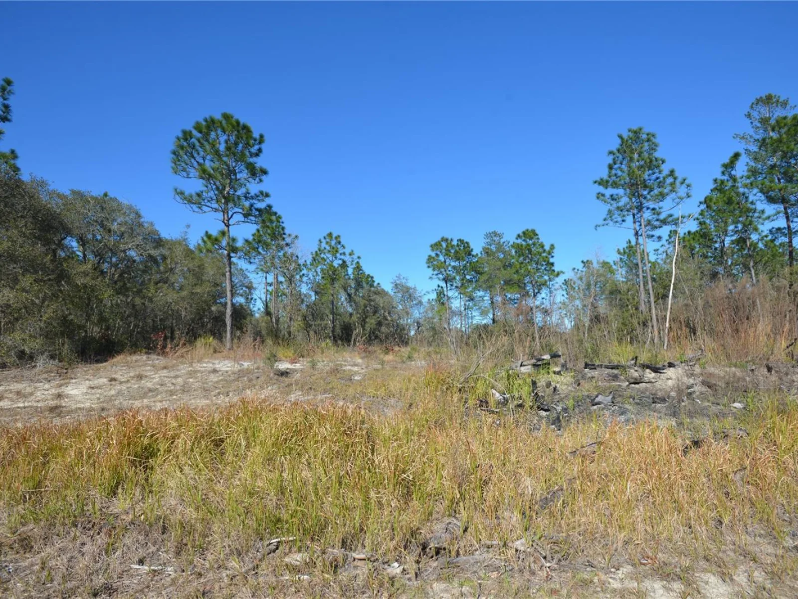 SW 144 PL, OCALA, FL — photo 7