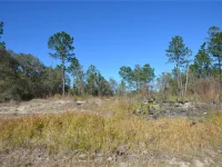 SW 144 PL — photo 7