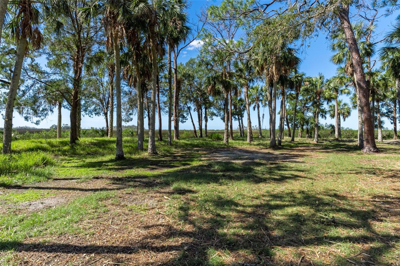 8812 CAMP LN, HUDSON, FL — photo 35