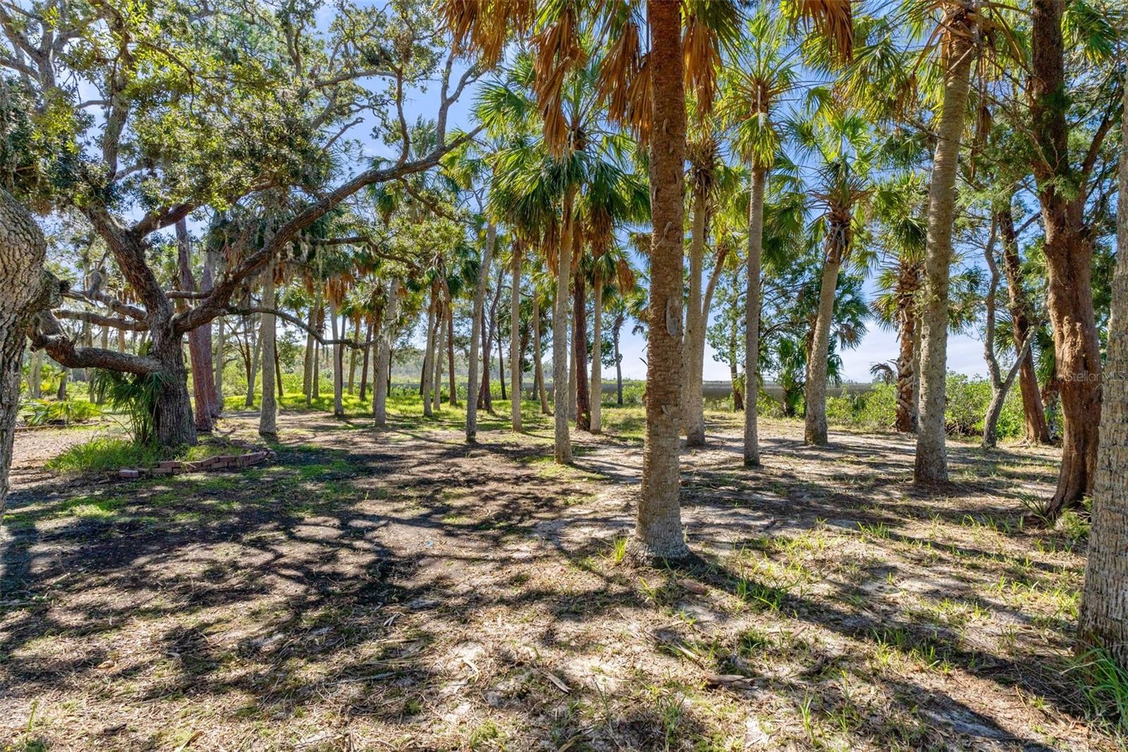 8812 CAMP LN, HUDSON, FL — photo 38