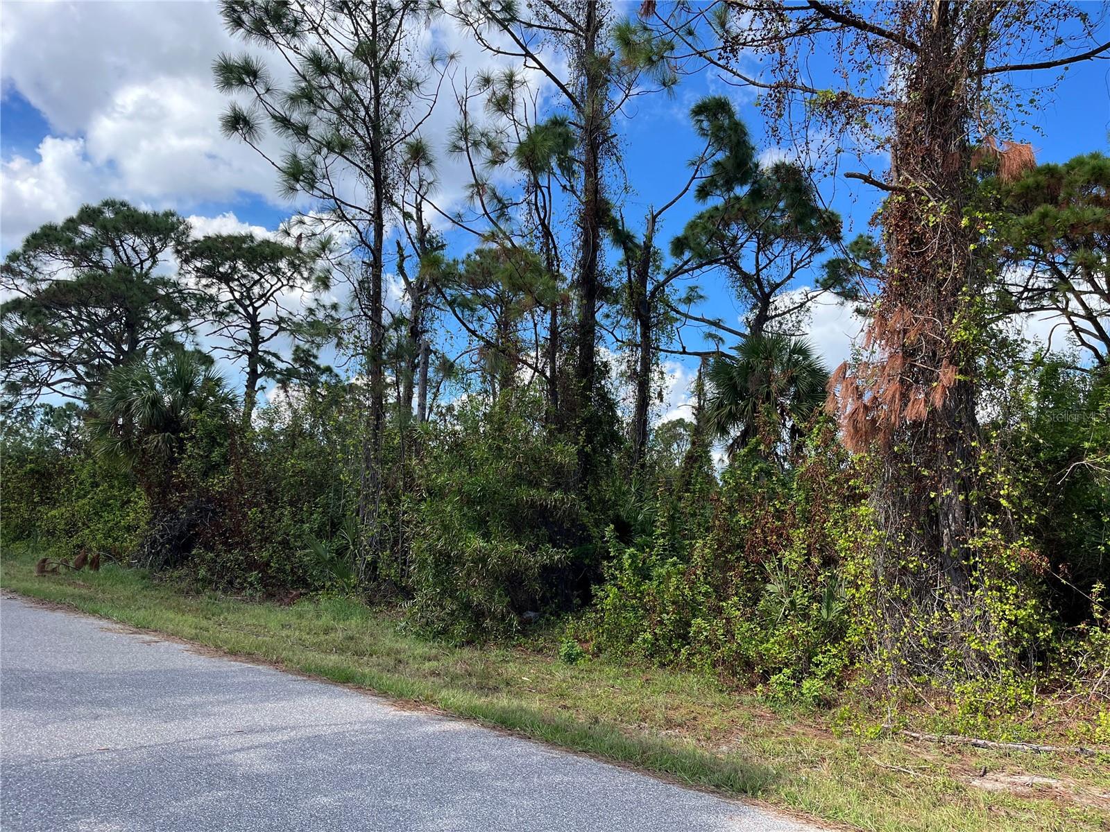 12438 DEEPWOODS AVE, PORT CHARLOTTE, FL — photo 4