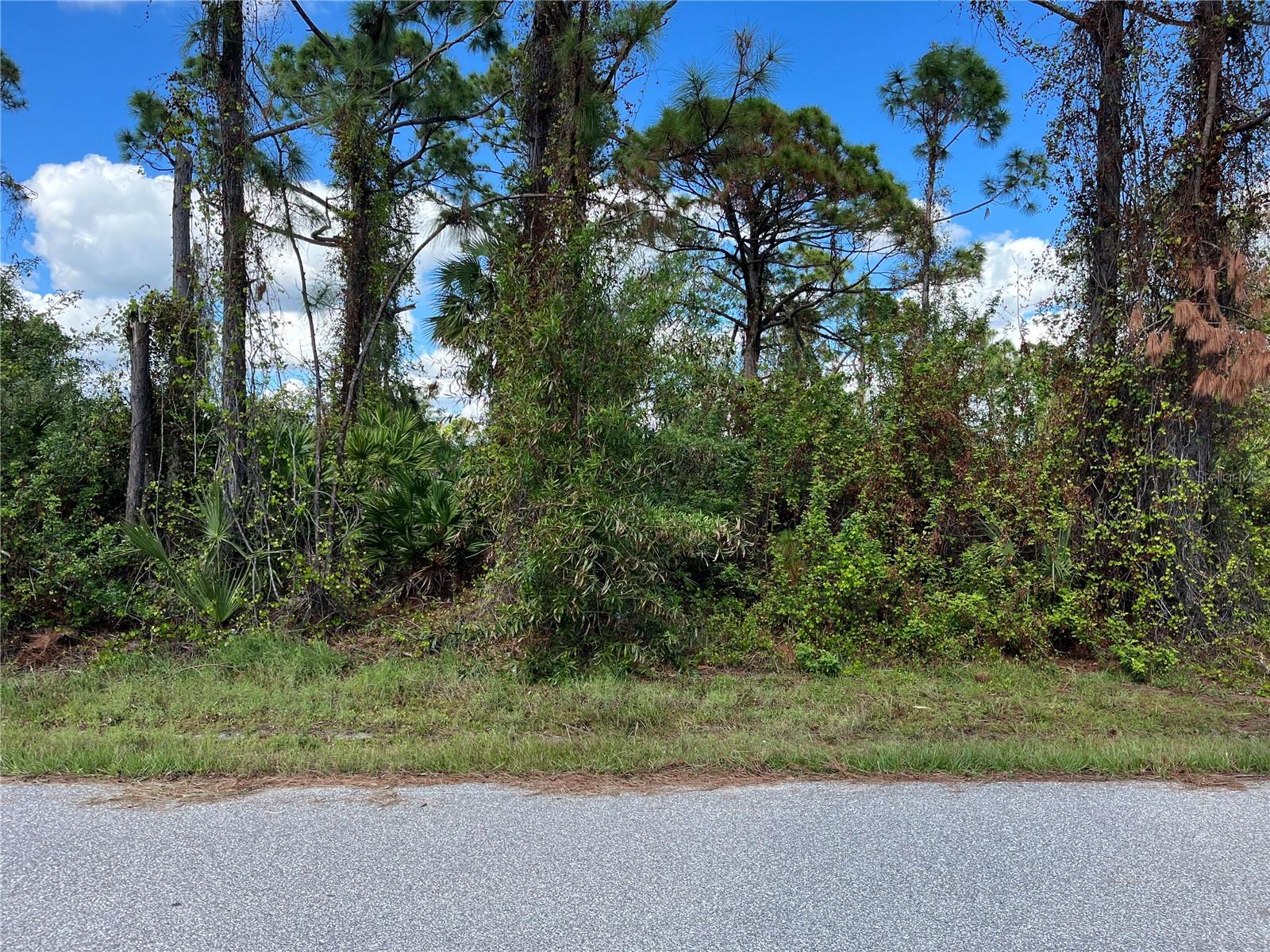 12438 DEEPWOODS AVE, PORT CHARLOTTE, FL — photo 5