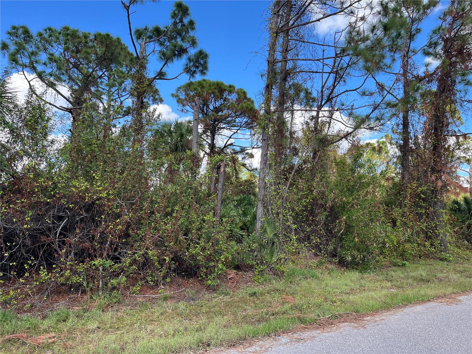 12438 DEEPWOODS AVE, PORT CHARLOTTE, FL — photo 6