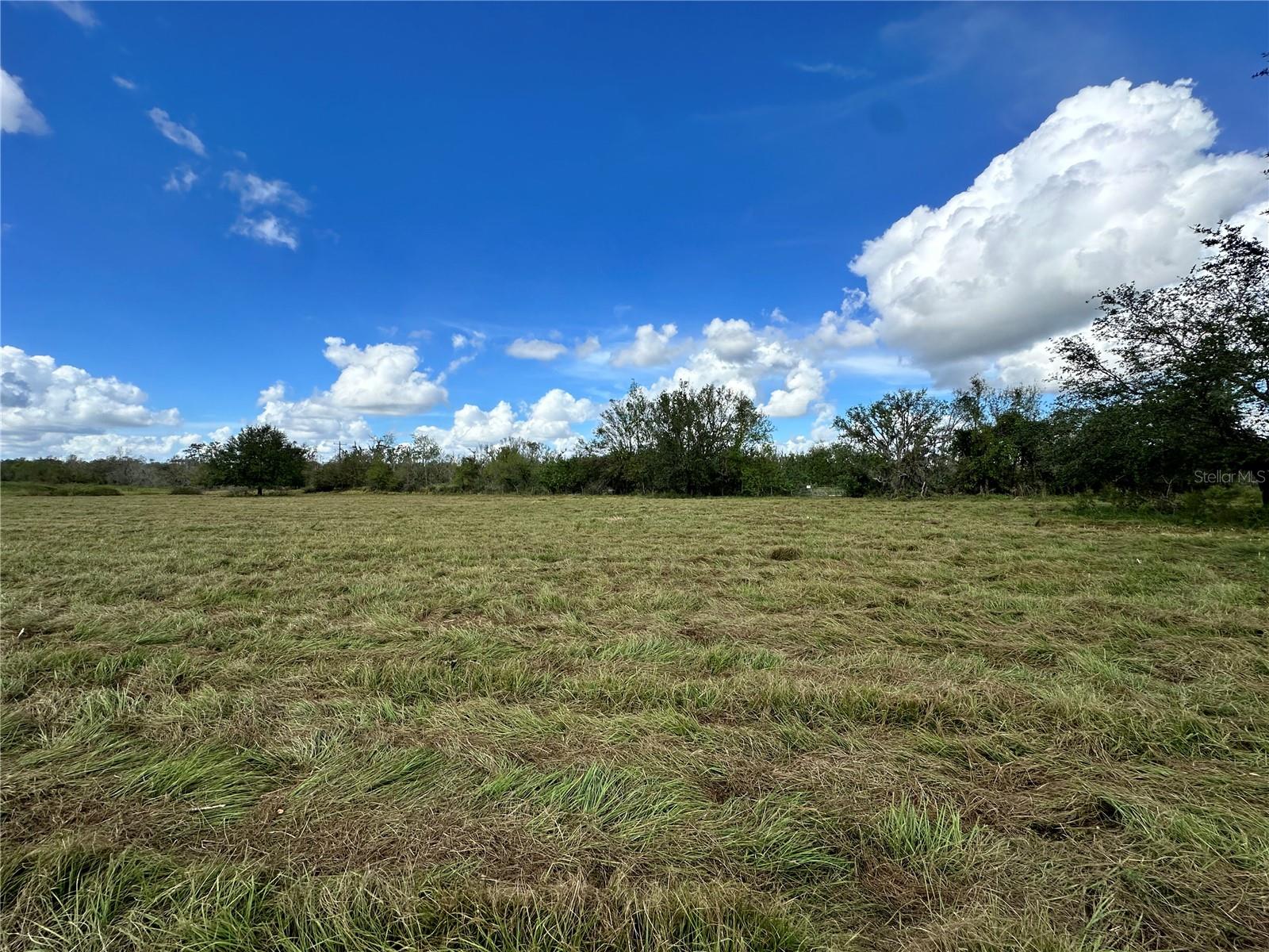 WAUCHULA RD, MYAKKA CITY, FL — photo 2