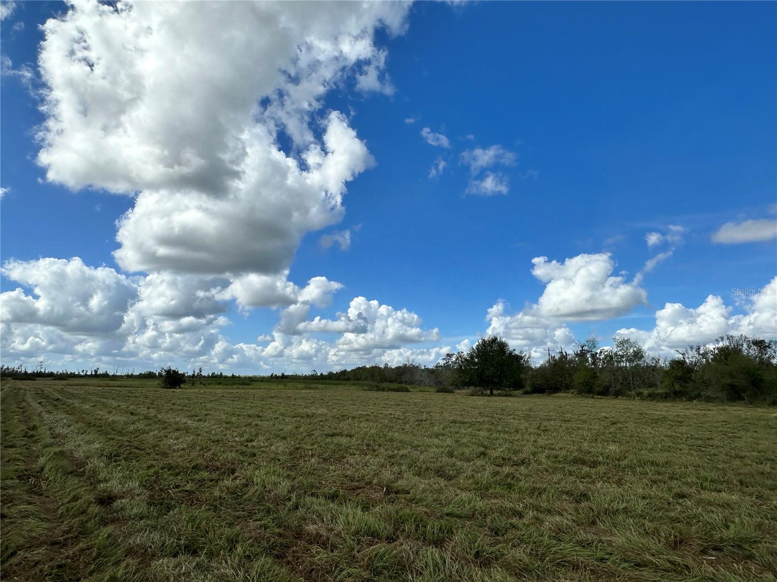 WAUCHULA RD, MYAKKA CITY, FL — photo 4