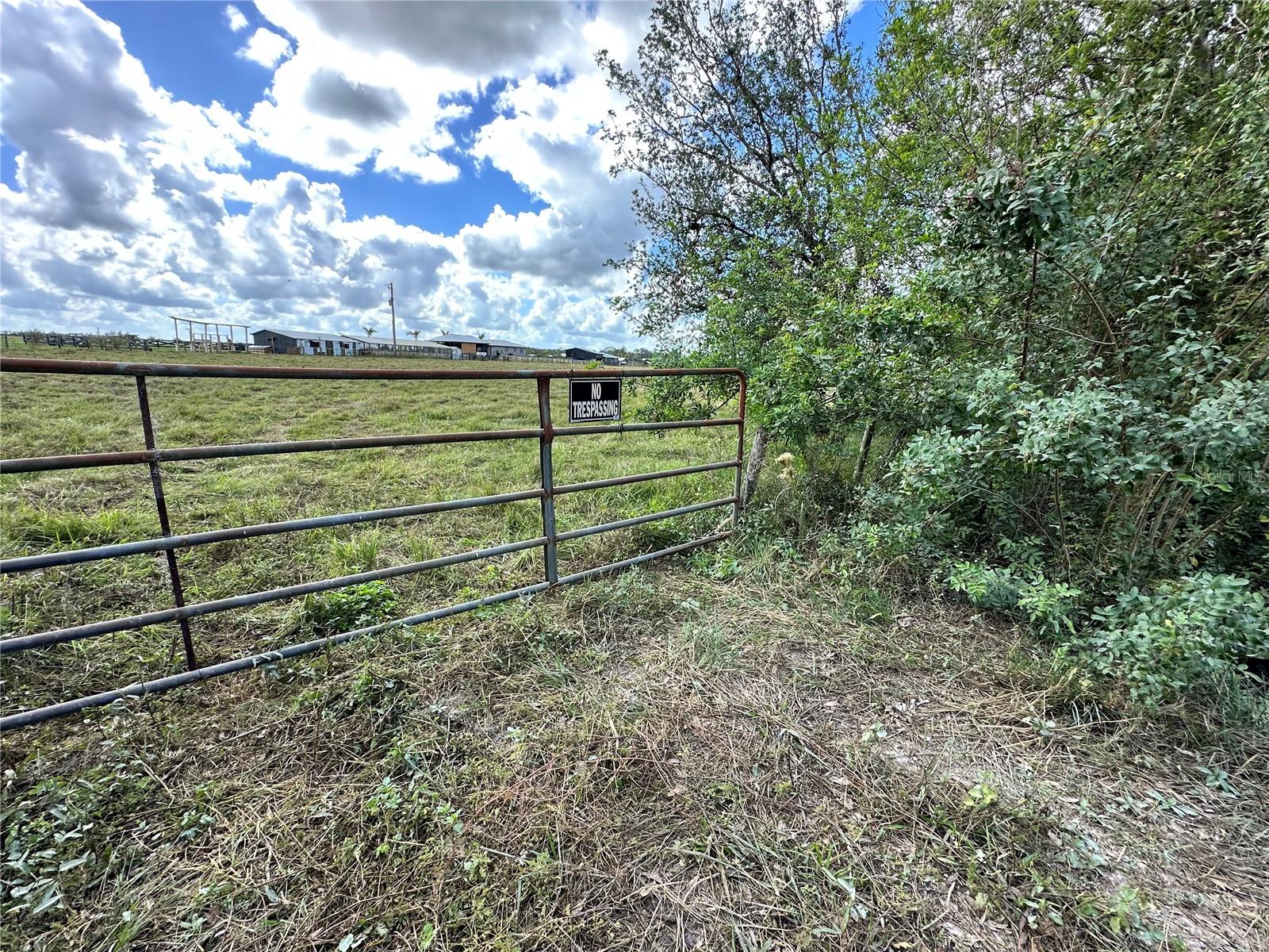 WAUCHULA RD, MYAKKA CITY, FL — photo 8