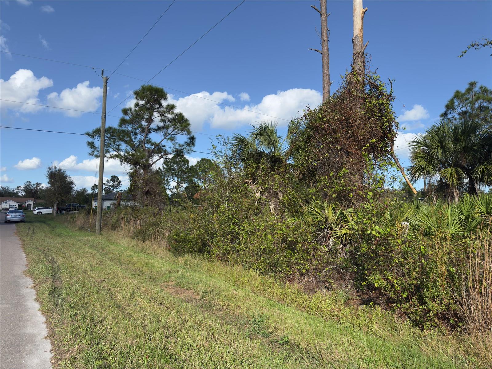 338 HYACINTH ST, PORT CHARLOTTE, FL — photo 5