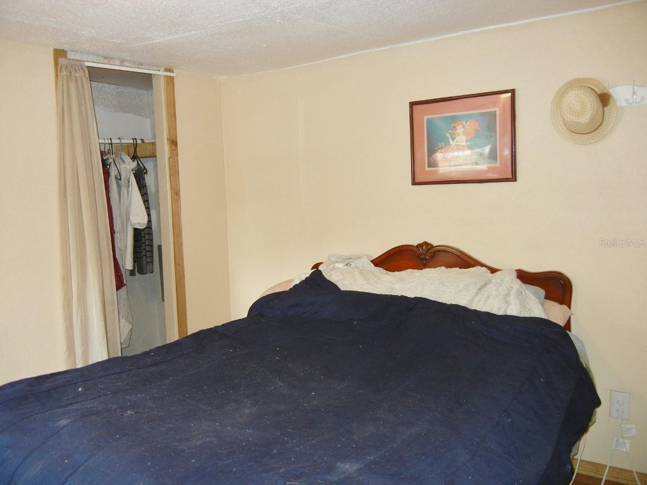 27945 VEVA AVE, PAISLEY, FL — photo 33