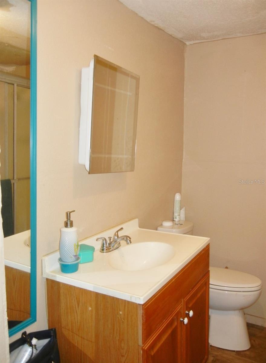 27945 VEVA AVE, PAISLEY, FL — photo 42