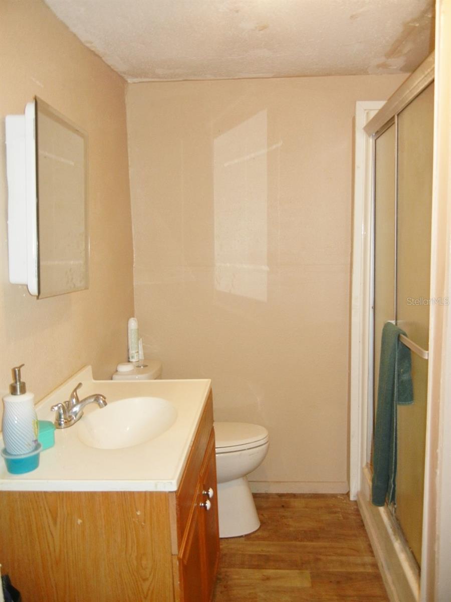 27945 VEVA AVE, PAISLEY, FL — photo 43