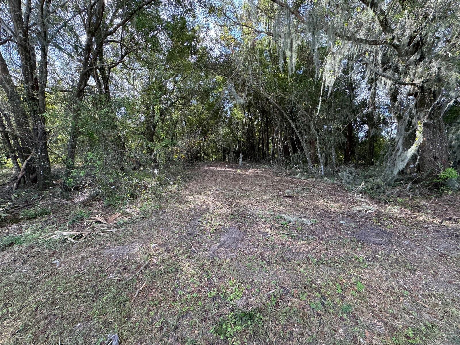 214 W INTERNATIONAL SPEEDWAY BLVD, DELAND, FL — photo 32