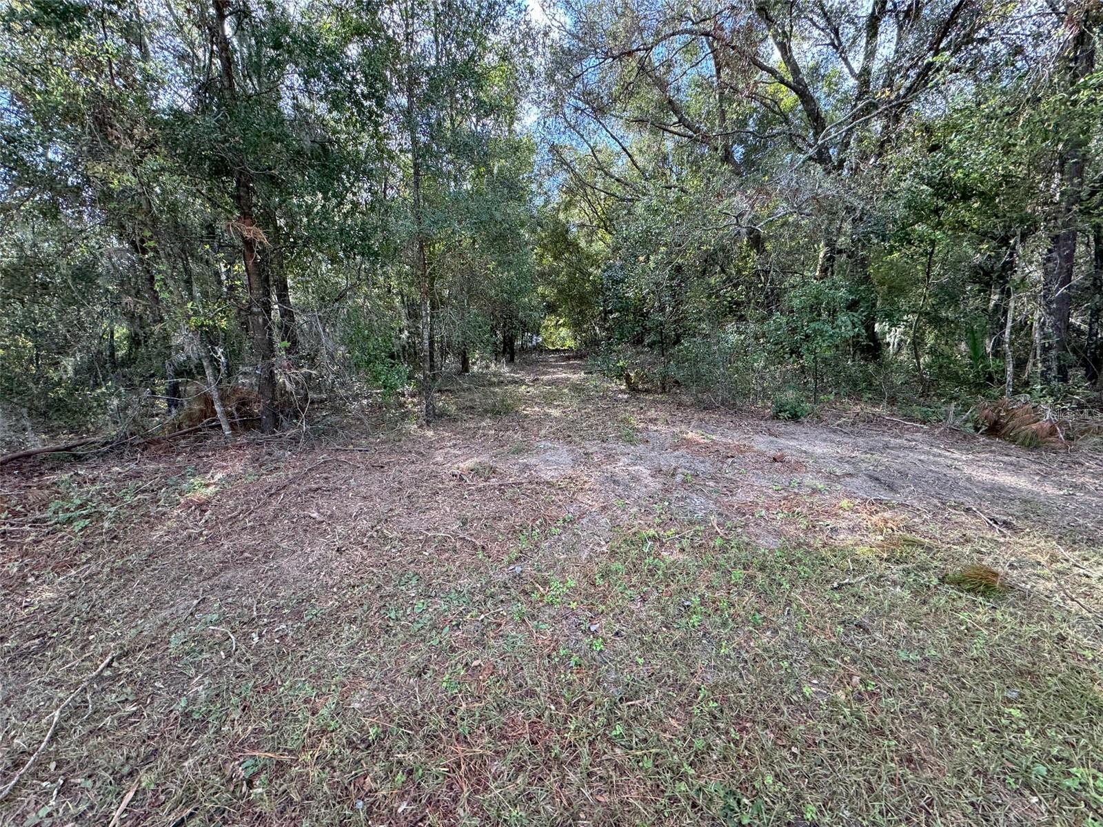 214 W INTERNATIONAL SPEEDWAY BLVD, DELAND, FL — photo 31