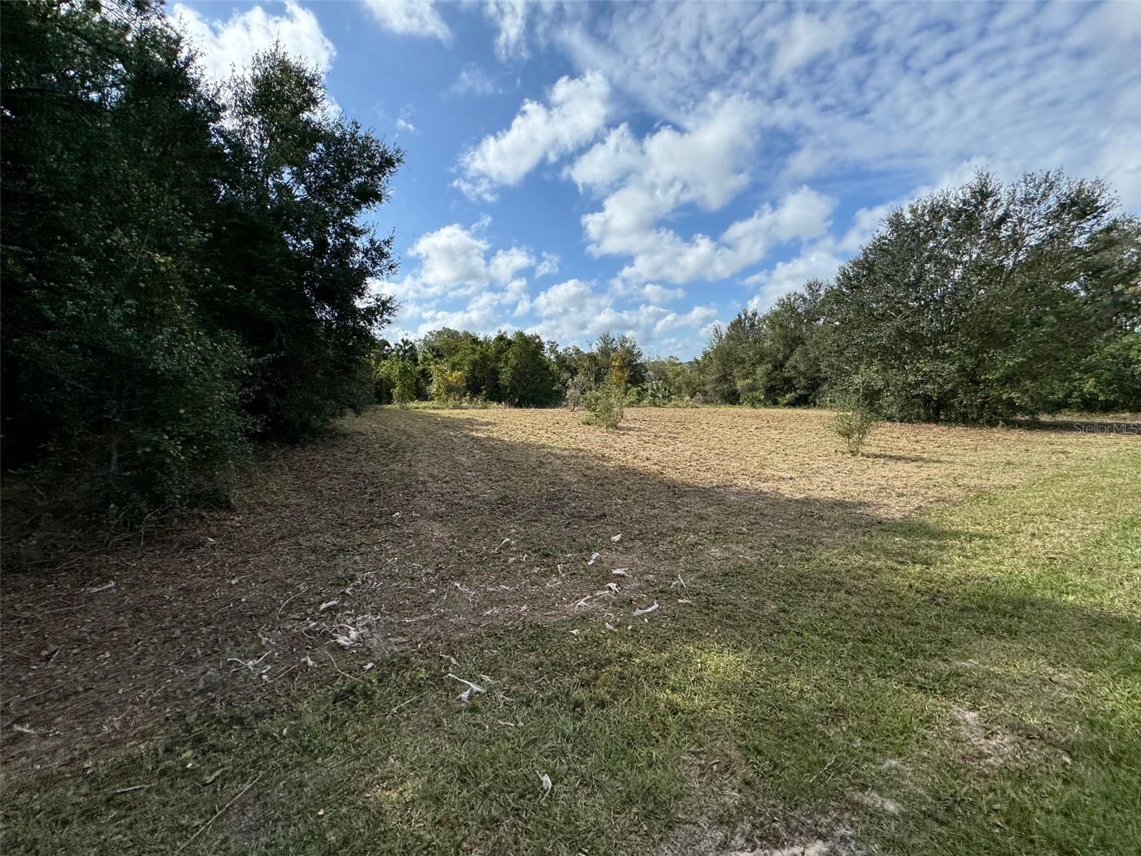 214 W INTERNATIONAL SPEEDWAY BLVD, DELAND, FL — photo 28