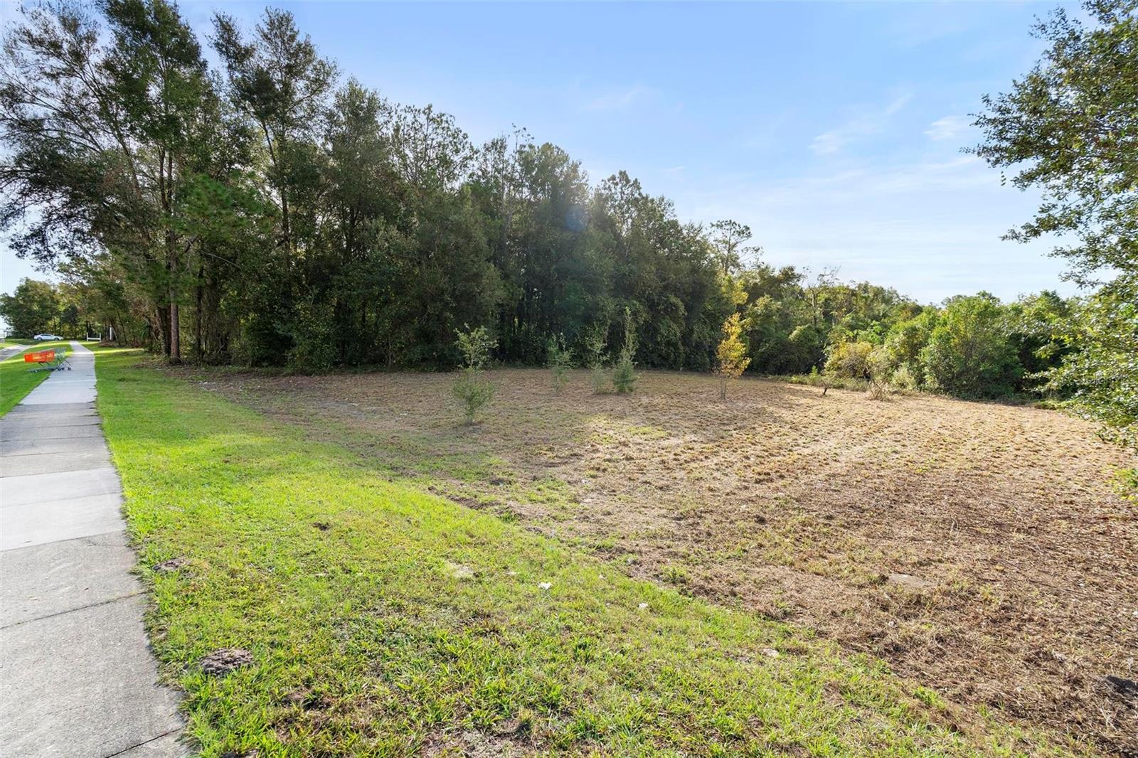 214 W INTERNATIONAL SPEEDWAY BLVD, DELAND, FL — photo 23